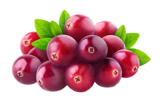 蔓越莓 (4)水果超市商品白底图免抠实物摄影png格式图片透明底