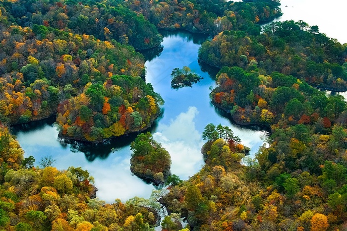 丛林中的湖泊全景风景图片