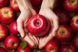 手握红苹果水果摄影图
