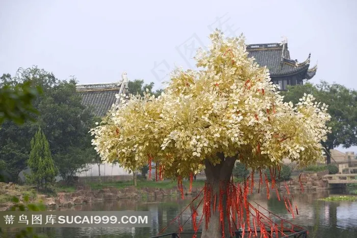 苏州周庄同里美景摄影