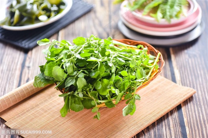 西洋菜田园时素美食素材