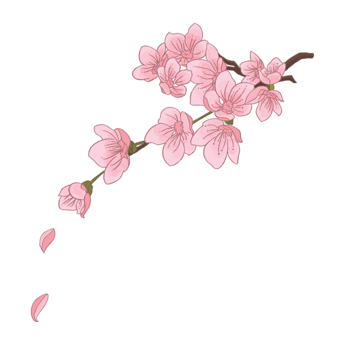 春天浪漫粉红色樱花手绘樱花梅花桃花花朵图片PNG免扣素材