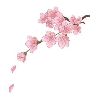 春天浪漫粉红色樱花手绘樱花梅花桃花花朵图片PNG免扣素材