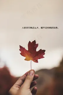 唯美文字素材图片