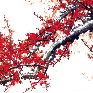 国画梅花装饰画