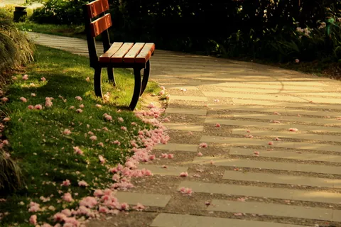 公园非主流残花图片 公园非主流残花图片