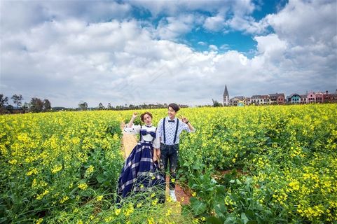 唯美情侣在菜花地合影写真