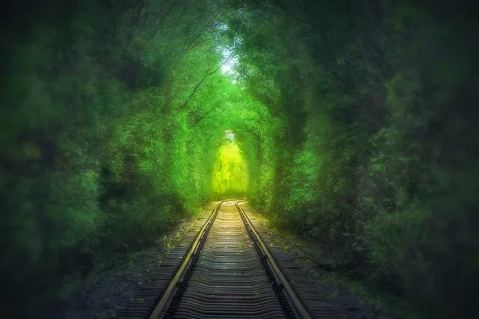 葱葱郁郁的隧道