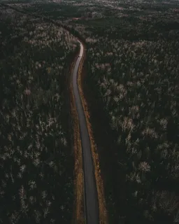 蜿蜒公路航拍图 蜿蜒公路航拍图