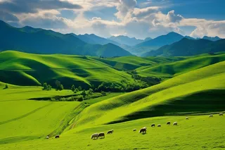 高原草原放羊草甸摄影图