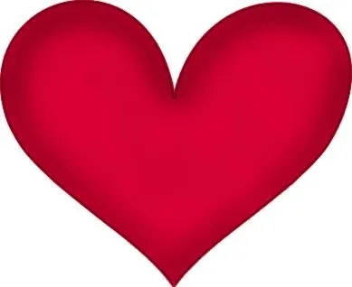 心脏 PNG免抠(389x318)