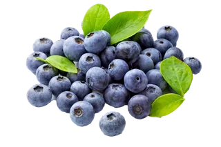 蓝莓 (4)水果超市商品白底图免抠实物摄影png格式图片透明底