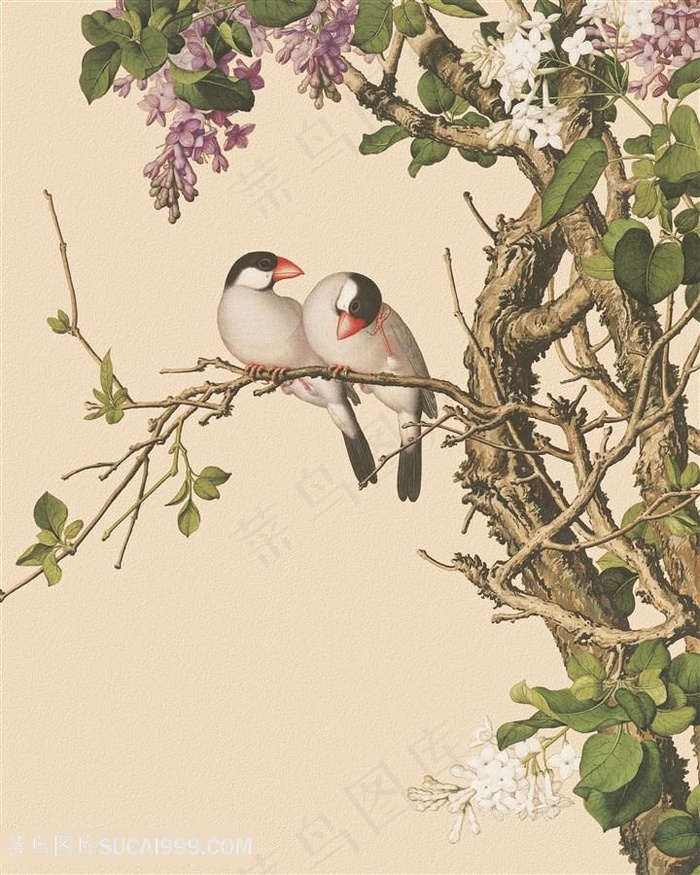 郎世宁花鸟树枝高清装饰画