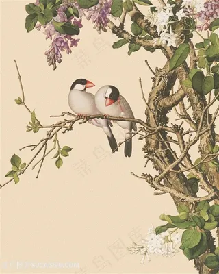 郎世宁花鸟树枝高清装饰画