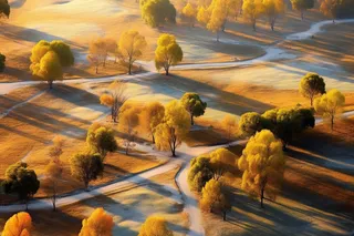 秋天新疆树木秋景摄影图
