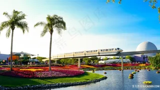 美国佛罗里达风光