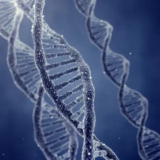 DNA和RNA结构示意高清图片 DNA和RNA结构示意高清图片