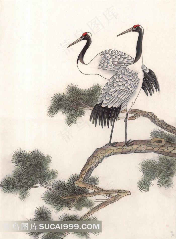 松鹤绘画艺术图片
