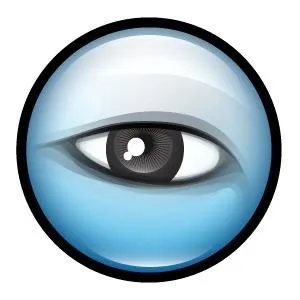 眼睛 PNG免抠(300x300)