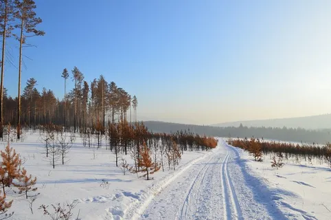 冬天白雪背景风景