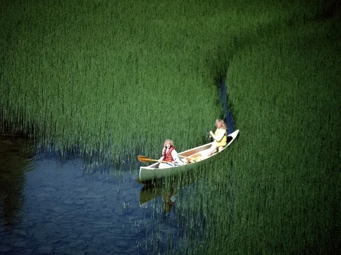 水面上草丛里划出来的一条小船