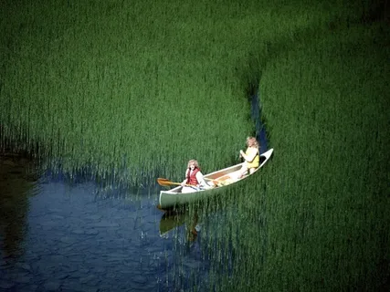 水面上草丛里划出来的一条小船