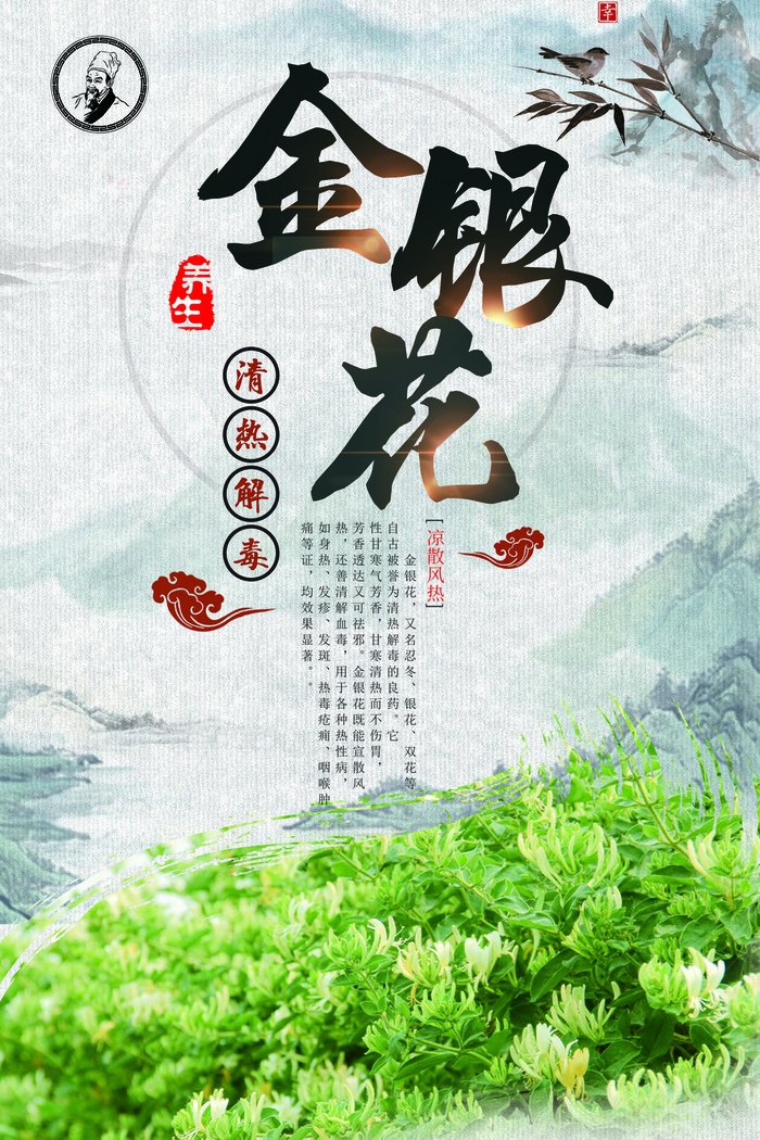 早春新茶上市茶叶海报铁观音白茶茶厂宣传PSD模式PS设计素材psd模版下载