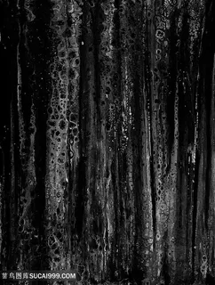 黑色泼漆质感纹路背景