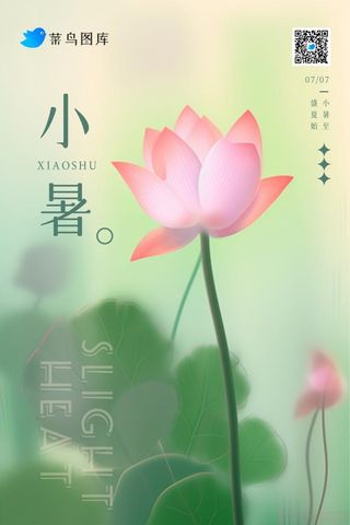 小暑创意意境莲花清新节气海报