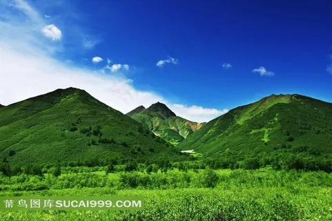 绿色树林山丘图片下载 绿色树林山丘图片下载