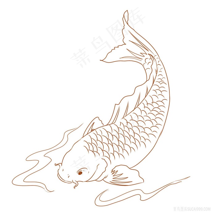线描锦鲤png绘画图片素材