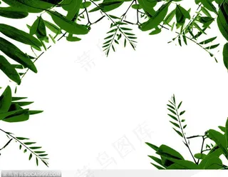 相框边框-翠绿的叶子边框