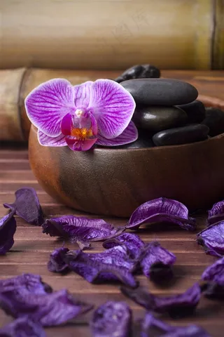鹅卵石枯叶与蝴蝶兰鲜花图片
