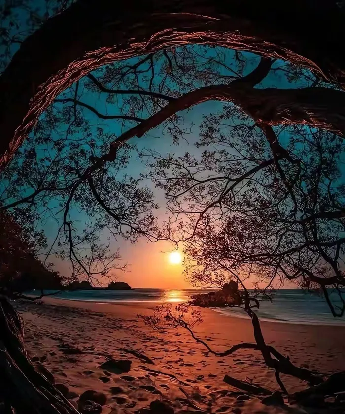 黄昏背景素材