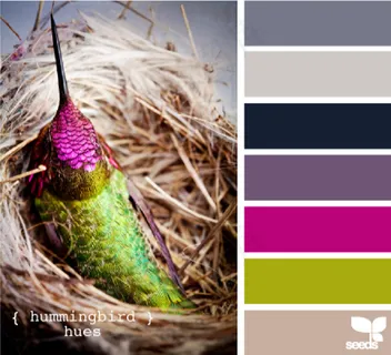 家禽鸟类配色色卡色彩搭配