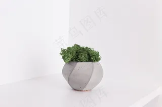 绿色盆栽小植物图片