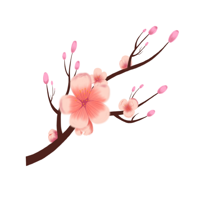 春天浪漫粉红色樱花手绘樱花梅花桃花花朵图片PNG免扣素材
