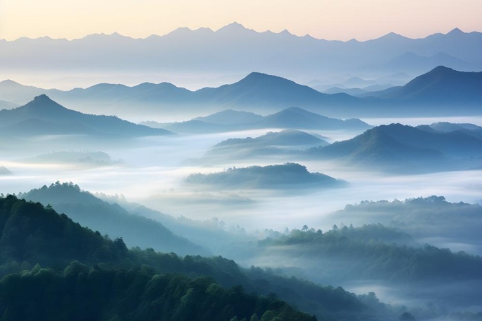 山脉树林高空摄影