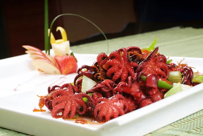 XCXC0011XO酱爆八爪鱼