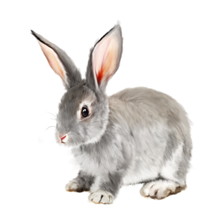 灰兔兔子动物宠物可爱手绘元素素材免扣