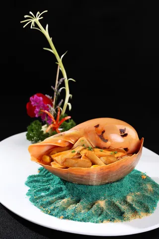 R02099鲍螺万象 (2)