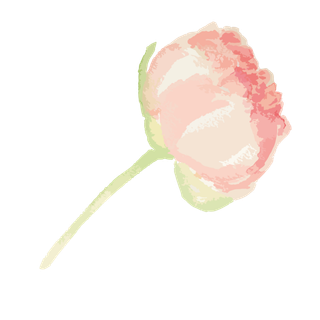 唯美森系手绘水彩花朵 免抠