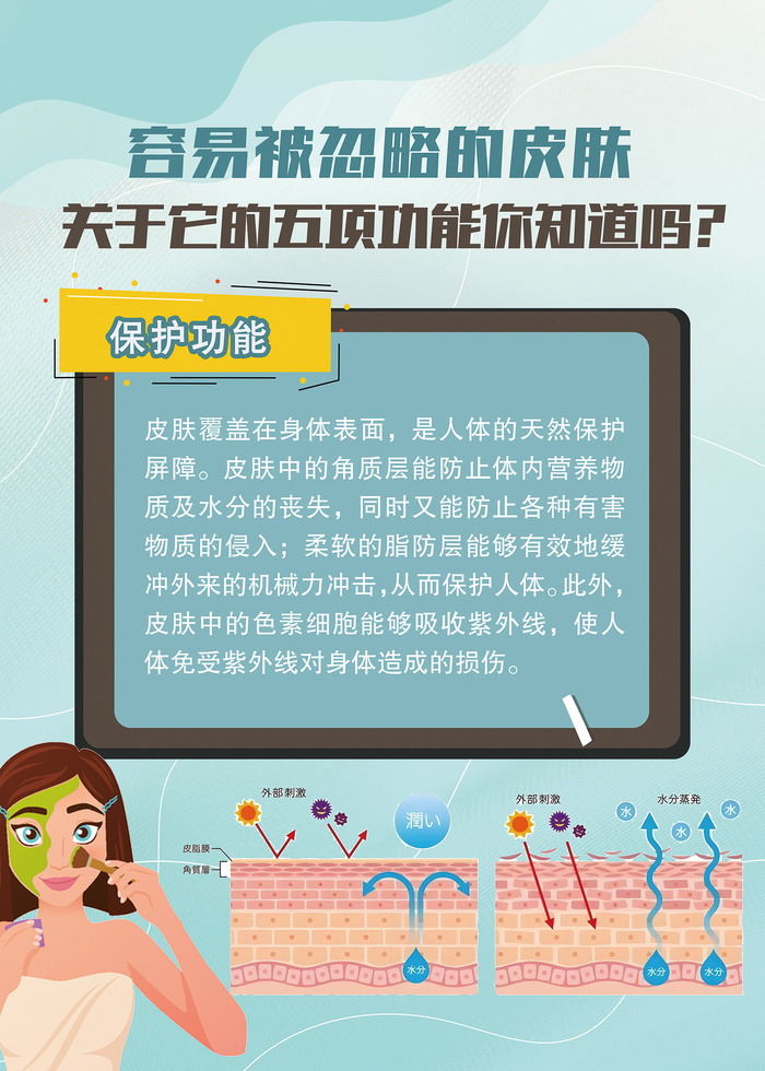 关于皮肤的功能知识海报psd模版下载