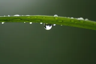 绿叶水滴ppt背景图片
