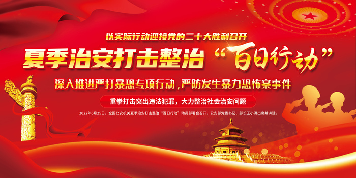 夏季治安打击整治百日行动党建文化墙展板展馆展厅文化墙