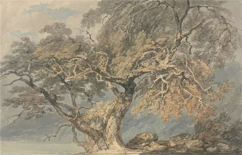 透纳树木风景画作品素材 透纳树木风景画作品素材