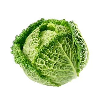 免抠包菜卷心菜实物摄影图片