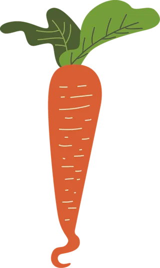 卡通胡萝卜现代农业