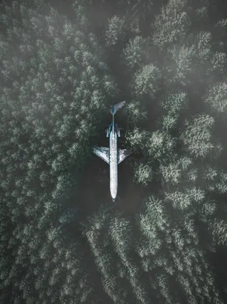 丛林中的飞机图片