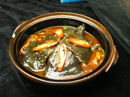 粤菜1210红煨甲鱼1 粤菜1210红煨甲鱼1
